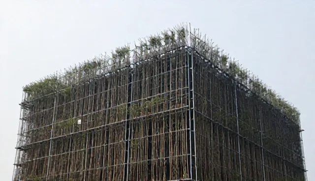 果树种苗选型的5大检查要点与性能对比