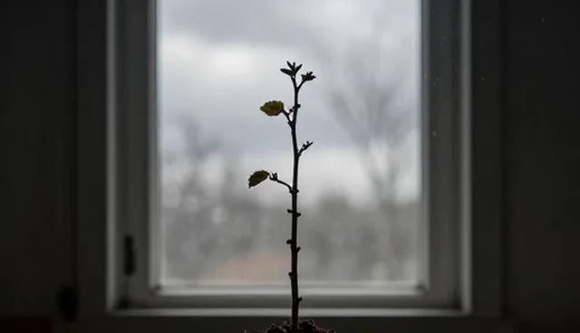 基地合作中种植成本控制的两个实际环节
